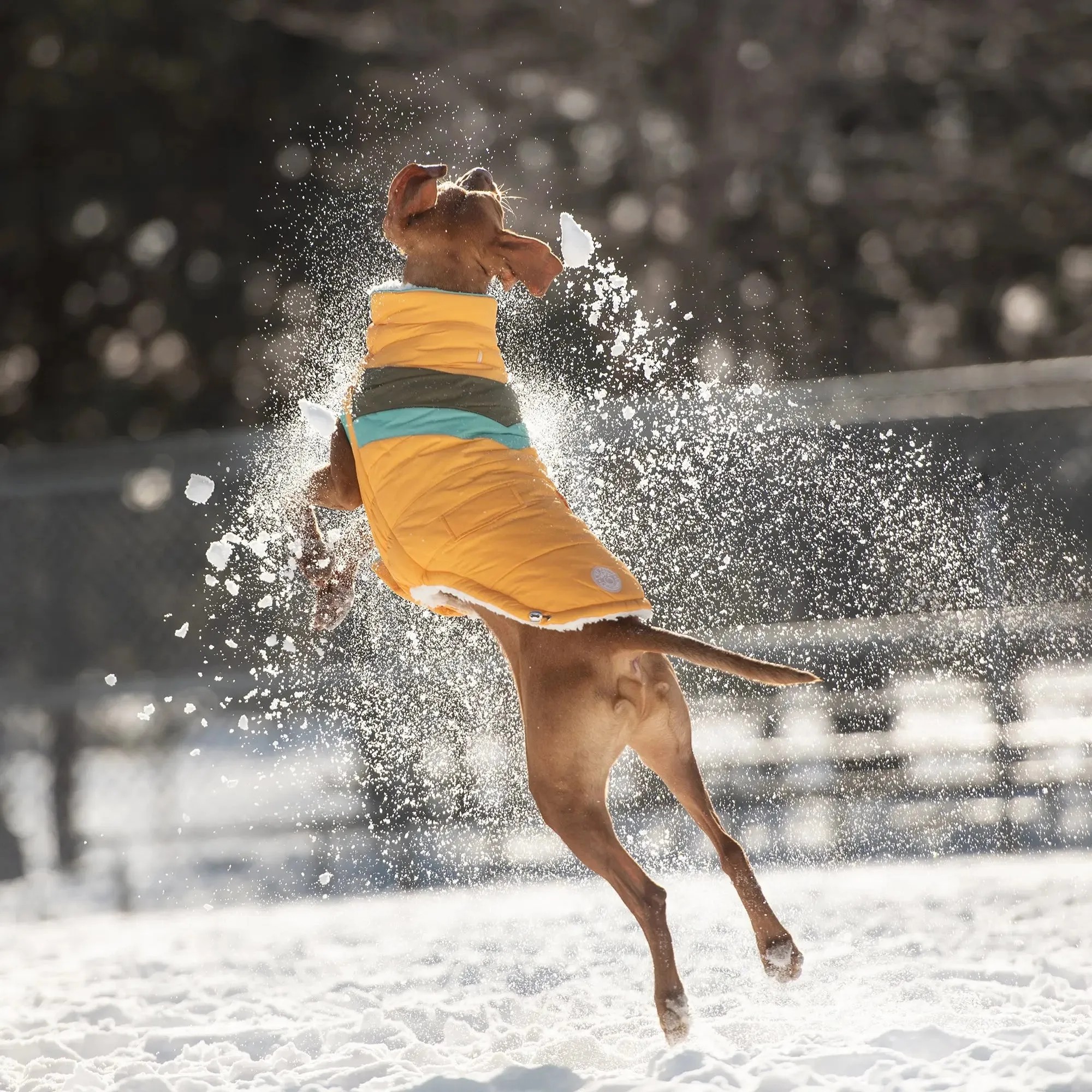 Alpine Puffer | Yellow