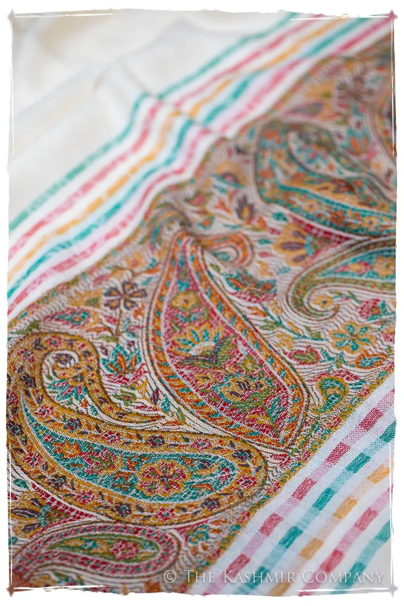 Evangelista Frontière Ivory Kashmir Wool Scarf