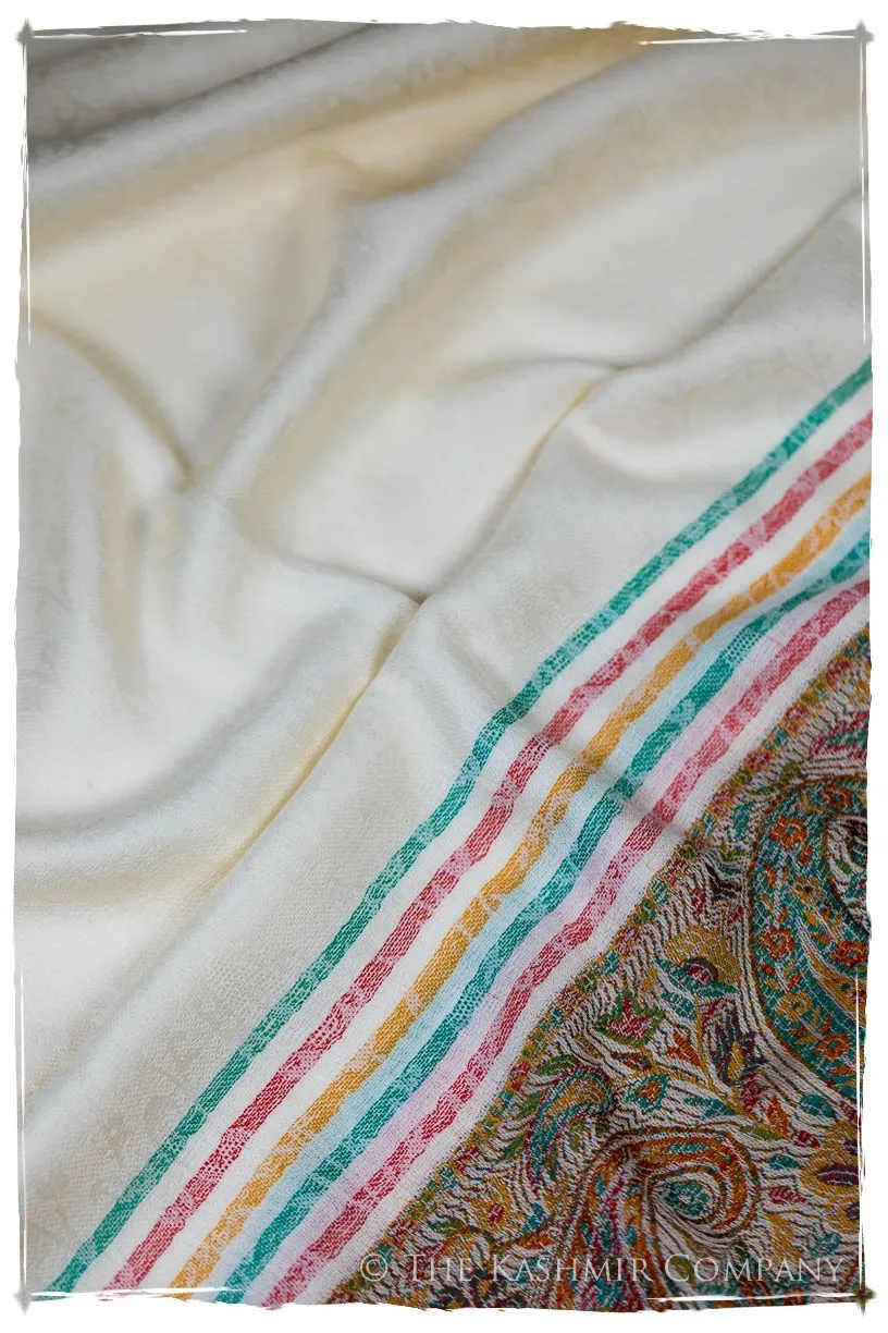 Evangelista Frontière Ivory Kashmir Wool Scarf