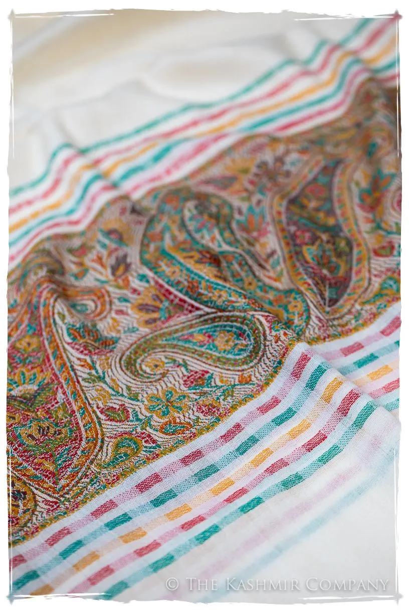 Evangelista Frontière Ivory Kashmir Wool Scarf