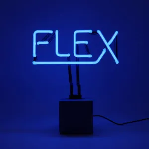 Neon 'flex' Sign