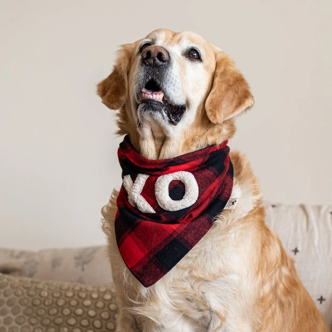 PoochMate Valentine Red Tartan Dog & Mom Twinning Set